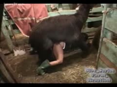 A homosexual man cannot survive without being raped by farm animals.